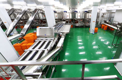 食品行業(yè)十萬級(jí)凈化車間潔凈室(區(qū))-好想你棗業(yè)-志遠(yuǎn)凈化