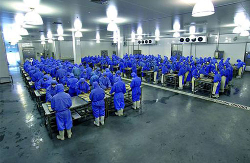 食品行業(yè)十萬級凈化車間潔凈室(區(qū))-永達食品