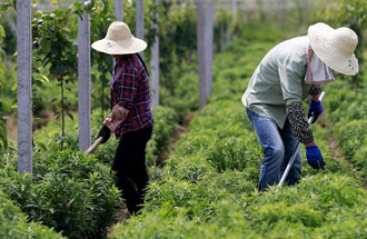 7月30日，河南省中藥材生產(chǎn)工作暨產(chǎn)業(yè)扶貧現(xiàn)場(chǎng)會(huì)在南陽(yáng)市南召縣成功召開(kāi)