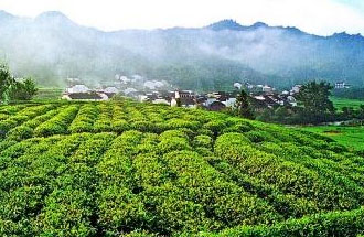 9月2日，財(cái)政部、稅務(wù)總局發(fā)布了關(guān)于繼續(xù)執(zhí)行邊銷(xiāo)茶增值稅政策的公告