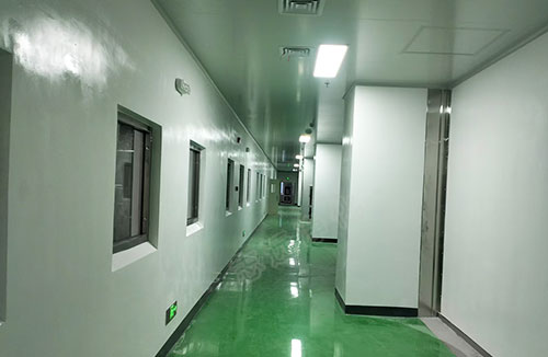 春發(fā)生物科技(寧夏)有限公司食品生產(chǎn)加工車間潔凈裝修施工項目6-志遠凈化工程