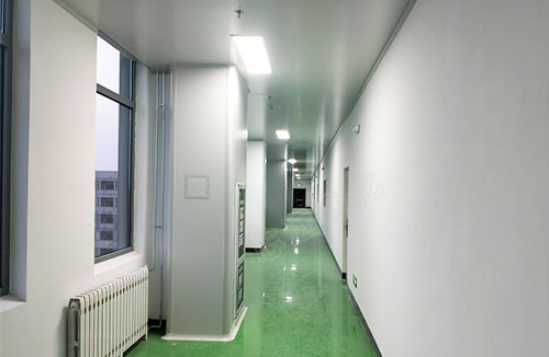 春發(fā)生物科技(寧夏)有限公司食品生產(chǎn)加工車間潔凈裝修施工項目7-志遠凈化工程